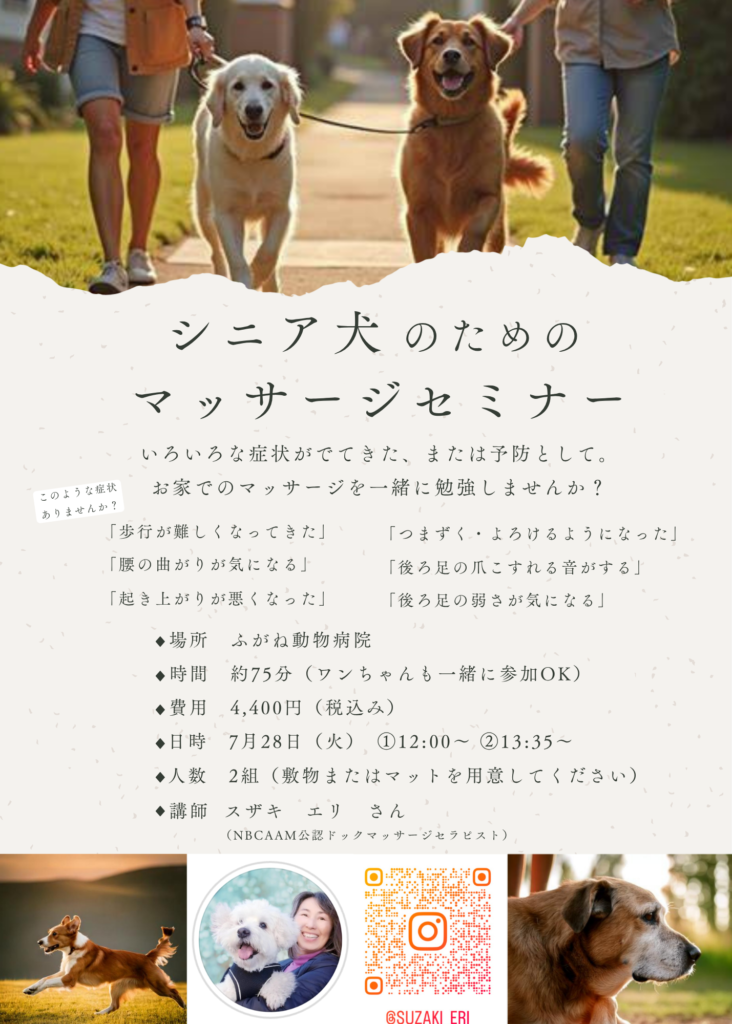 シニア犬向けマッサージセミナー