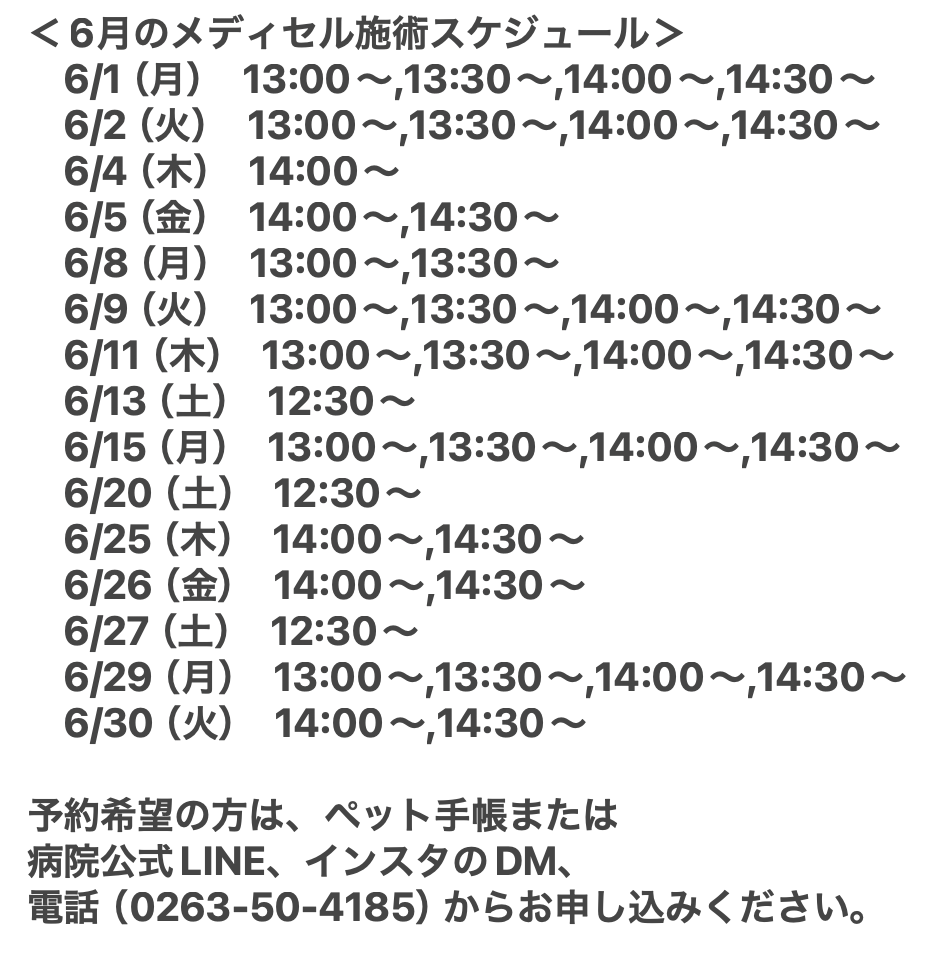 6月メディセルスケジュール