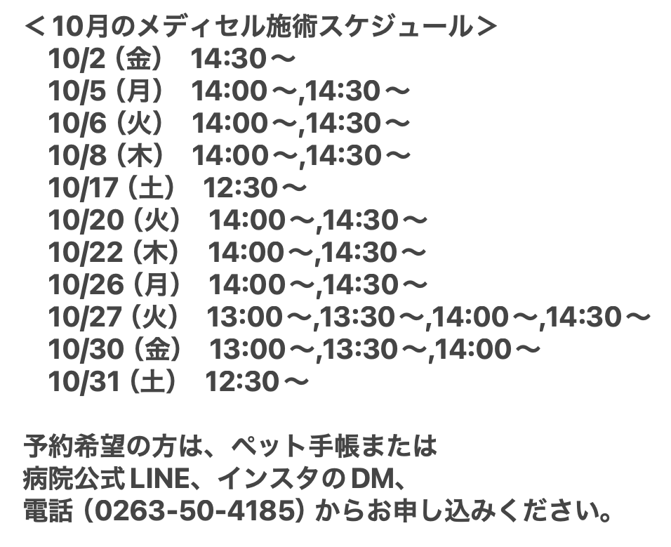 10月メディセル
